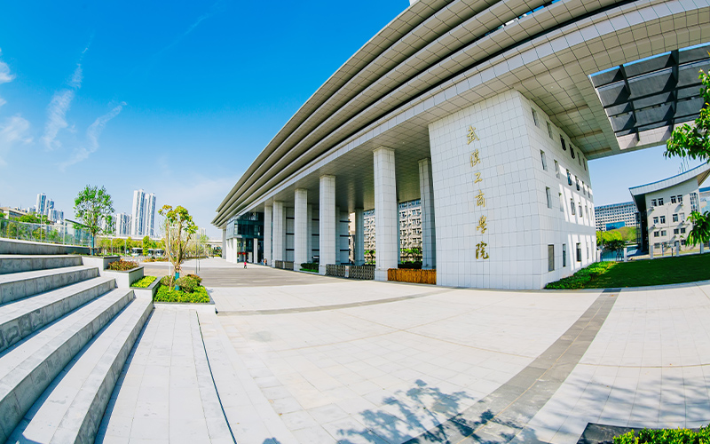 武汉工商学院