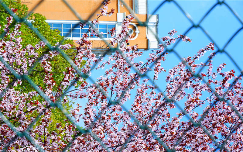 六盘水师范学院