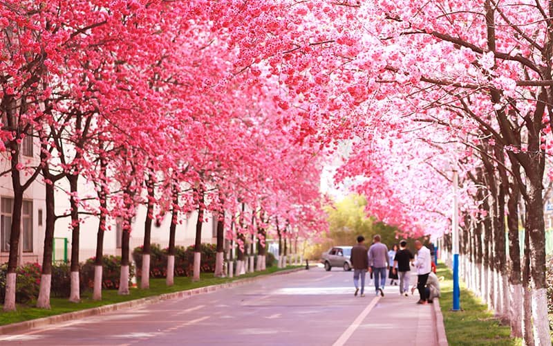 云南医药健康职业学院