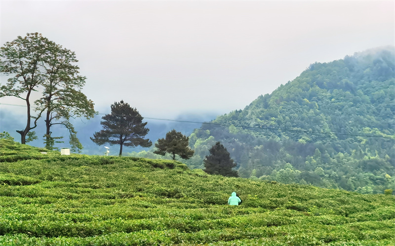 黔南民族职业技术学院