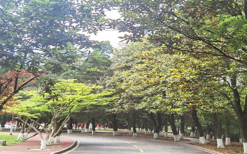 黔南民族职业技术学院