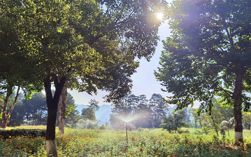 黔南民族职业技术学院