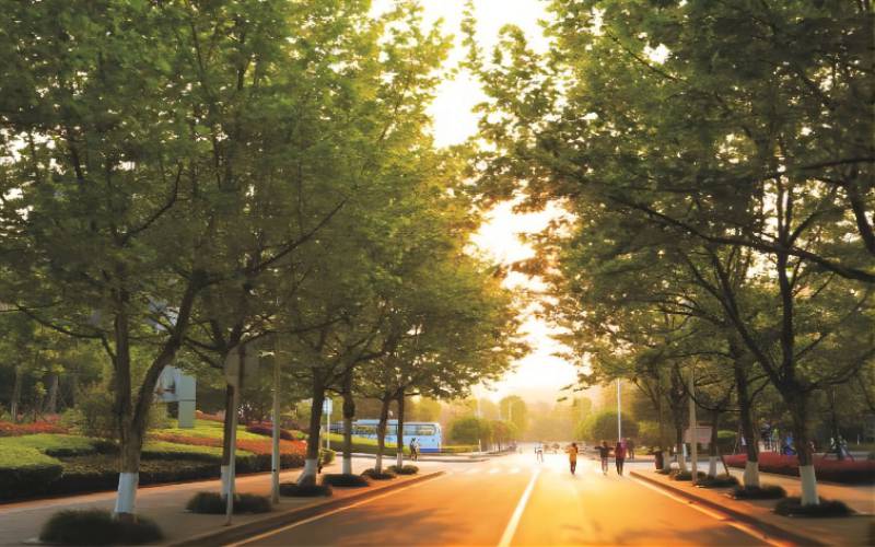 重庆医药高等专科学校