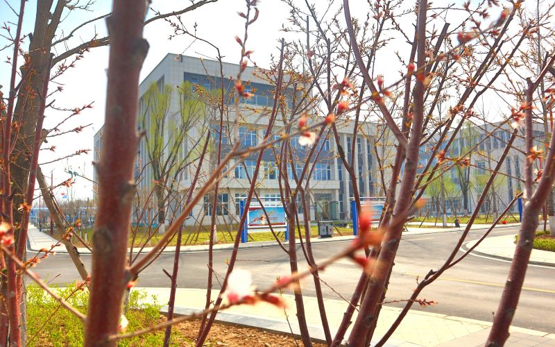 邢台应用技术职业学院