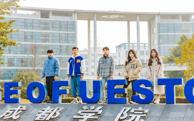 电子科技大学成都学院