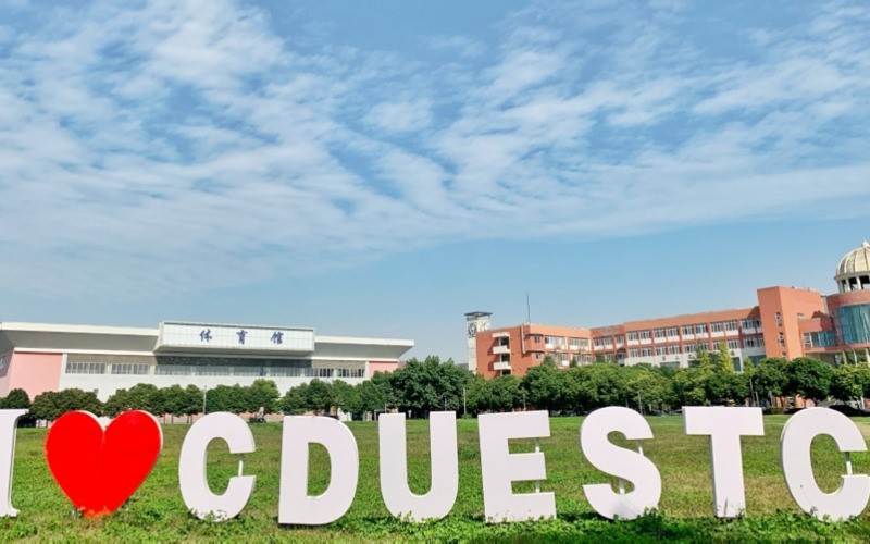 电子科技大学成都学院