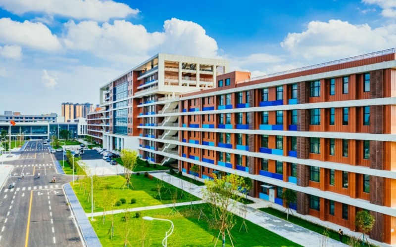 电子科技大学成都学院