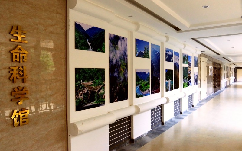 保山中医药高等专科学校