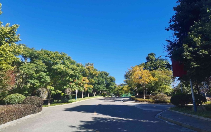 保山中医药高等专科学校