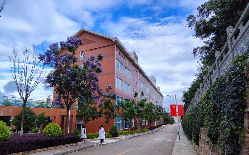 保山中医药高等专科学校