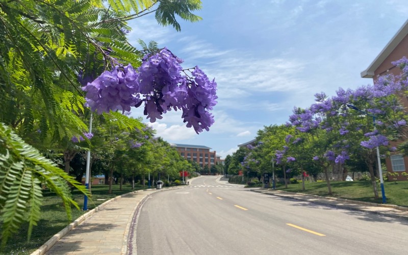 保山中医药高等专科学校