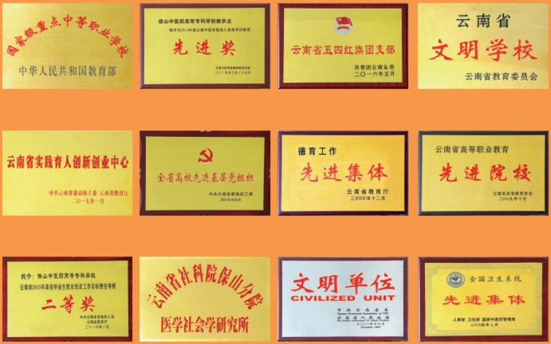 保山中医药高等专科学校