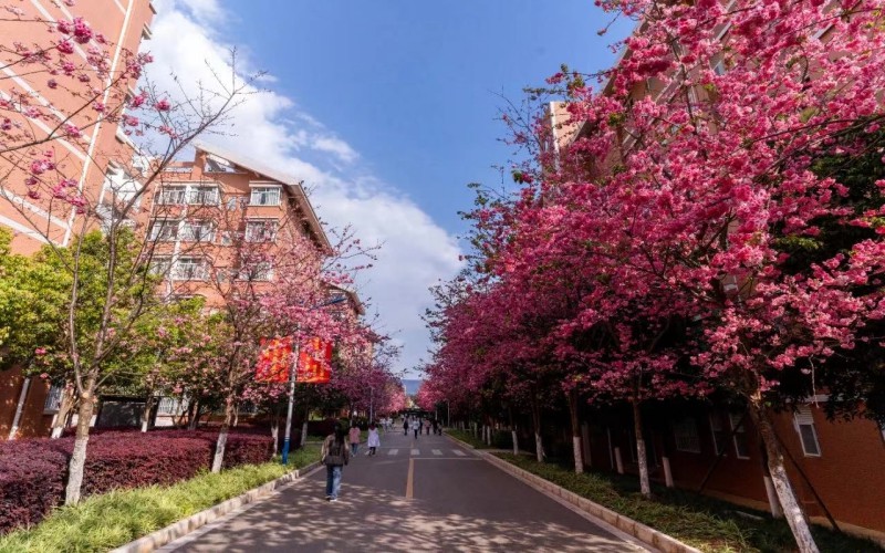 保山中医药高等专科学校