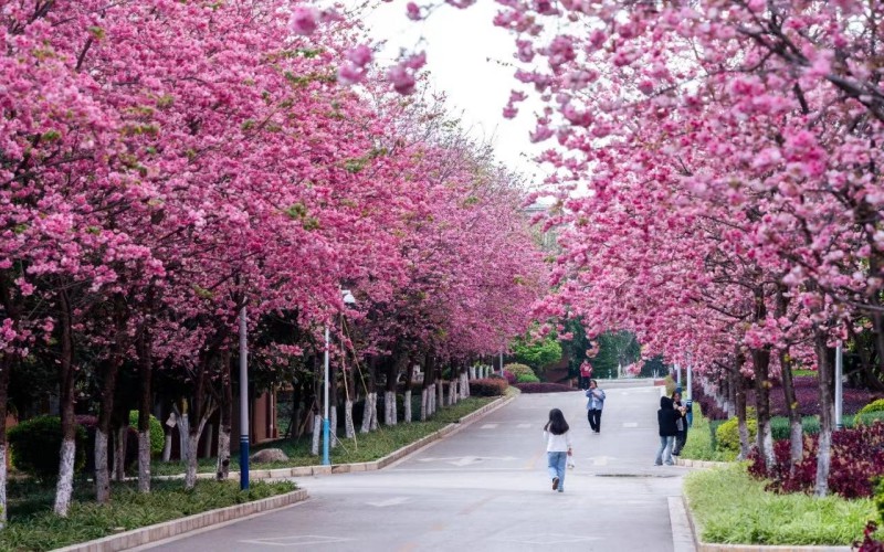 保山中医药高等专科学校