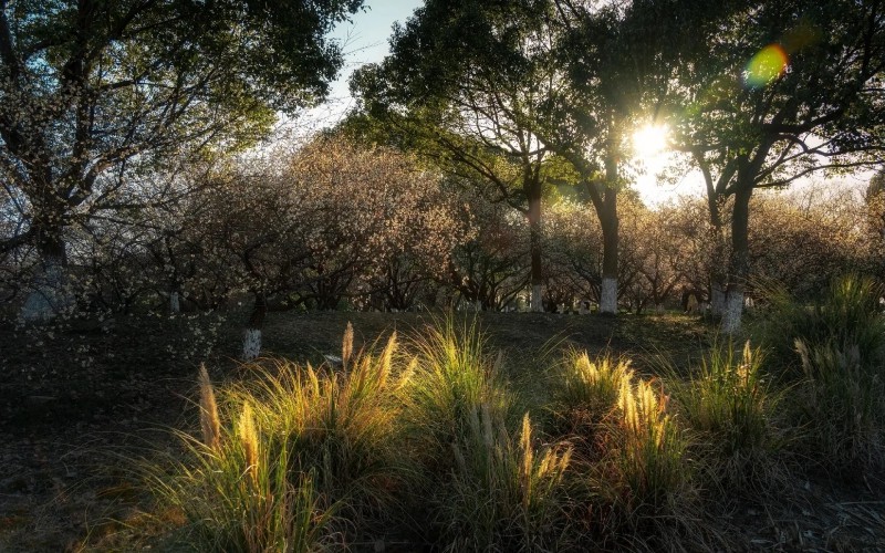 保山中医药高等专科学校