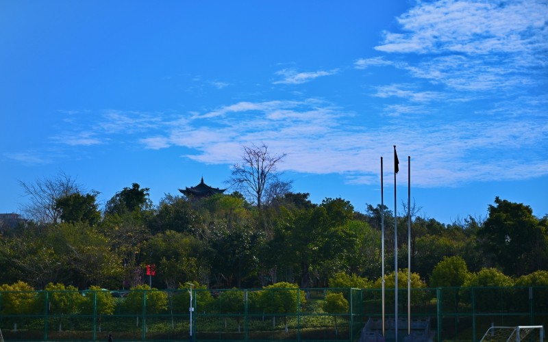保山中医药高等专科学校