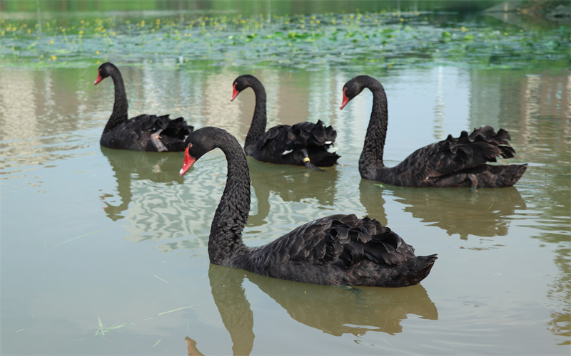 湖南铁路科技职业技术学院