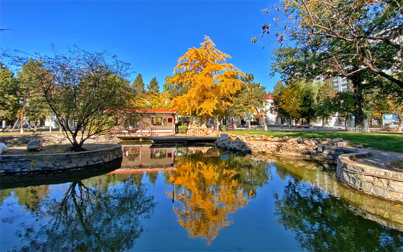 中国劳动关系学院