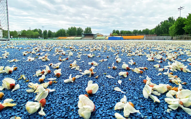 中国劳动关系学院