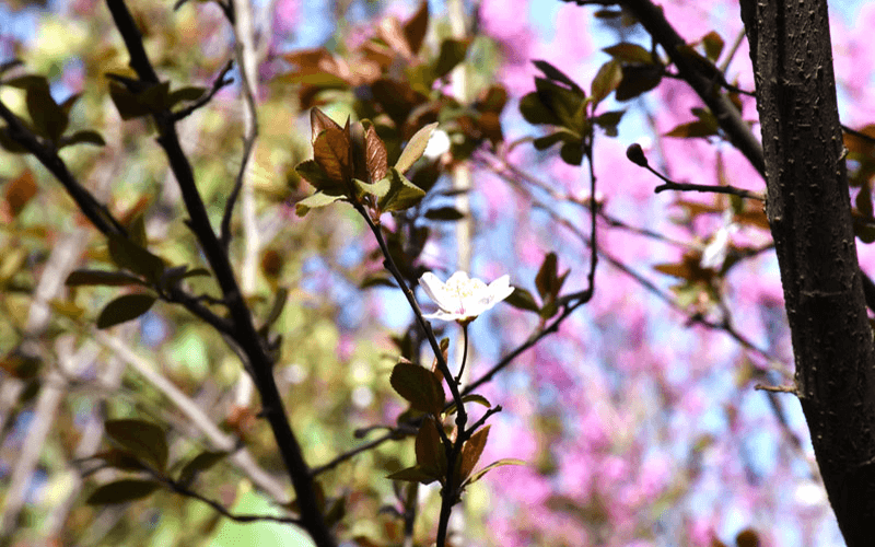 周口理工职业学院