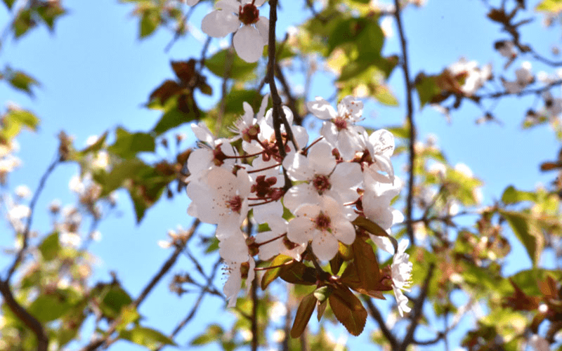 周口理工职业学院