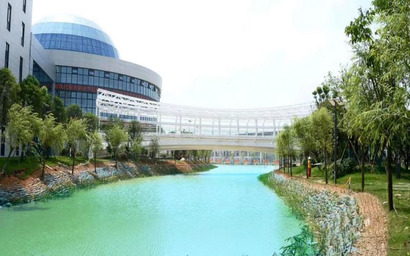 岳阳现代服务职业学院