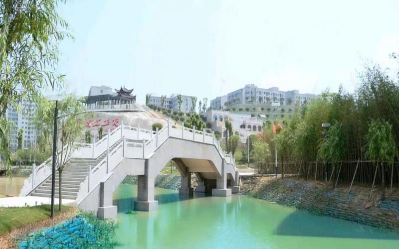 岳阳现代服务职业学院