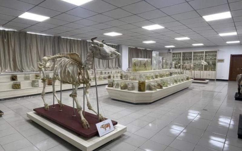 定西职业技术学院