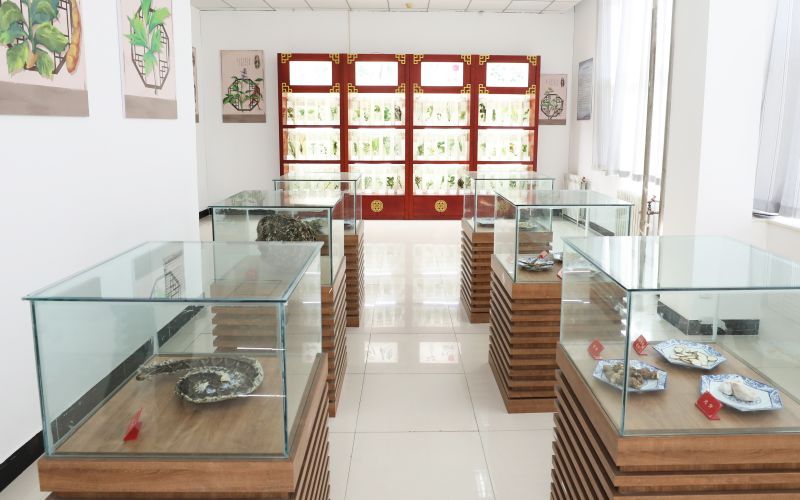 衡水健康科技职业学院