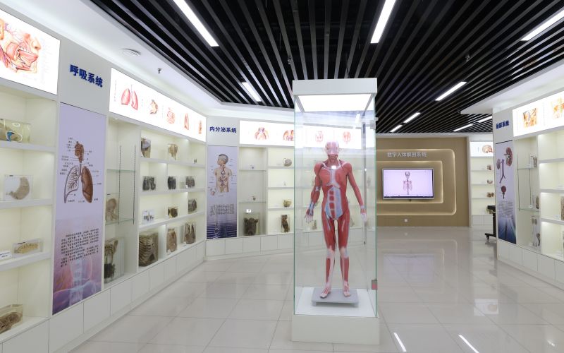 衡水健康科技职业学院