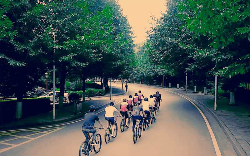 中南林业科技大学