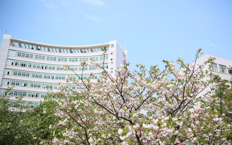 中南林业科技大学