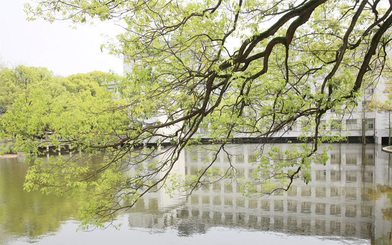 中南林业科技大学