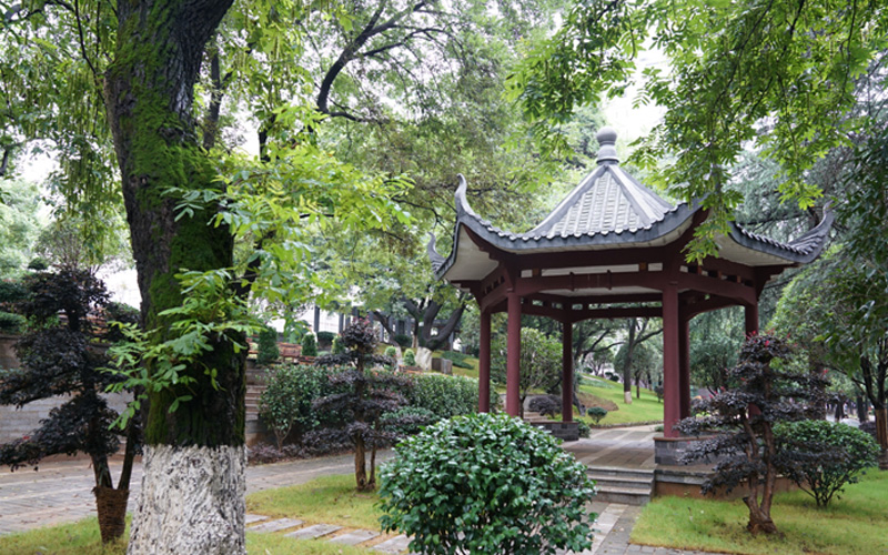 中南林业科技大学