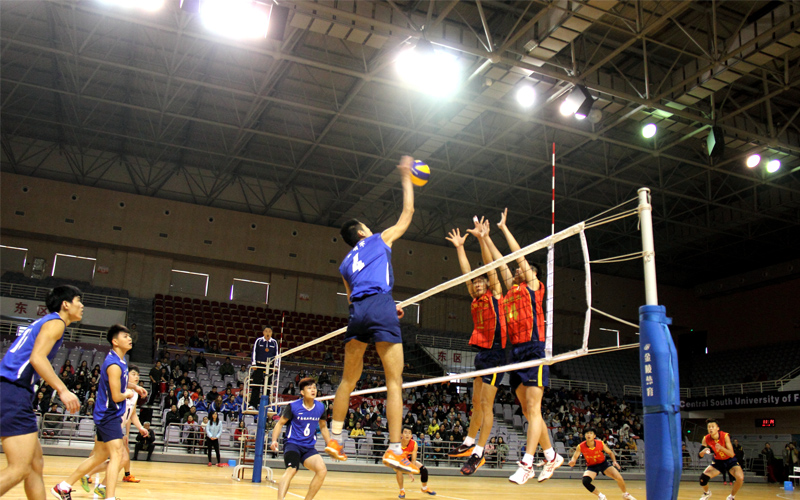 中南林业科技大学