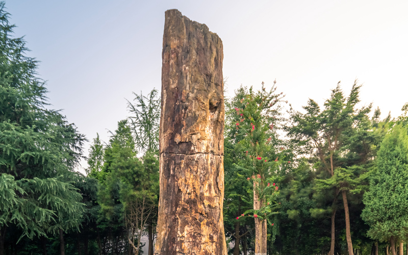 中南林业科技大学