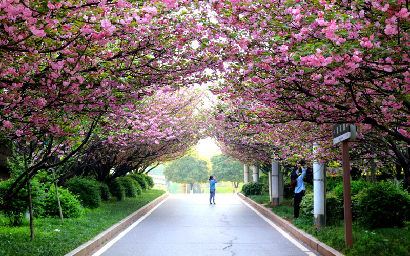 中南林业科技大学