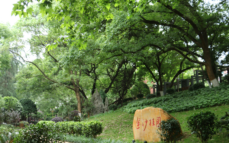 中南林业科技大学