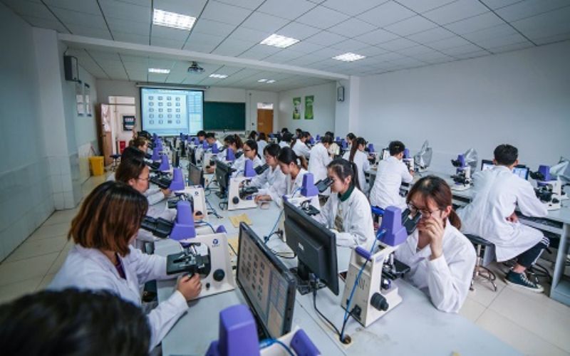 安徽中医药高等专科学校