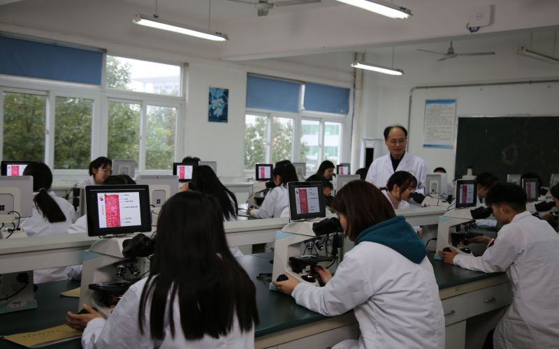 安徽中医药高等专科学校