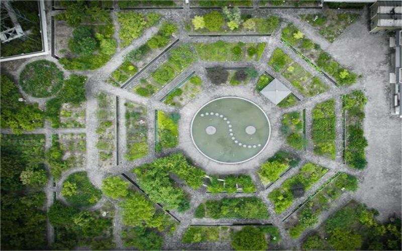 安徽中医药高等专科学校