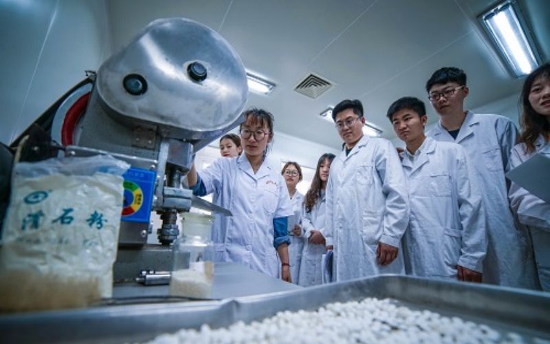 安徽中医药高等专科学校