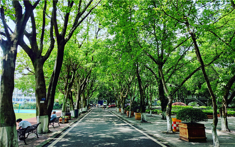 重庆电力高等专科学校