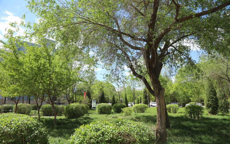 包头职业技术学院