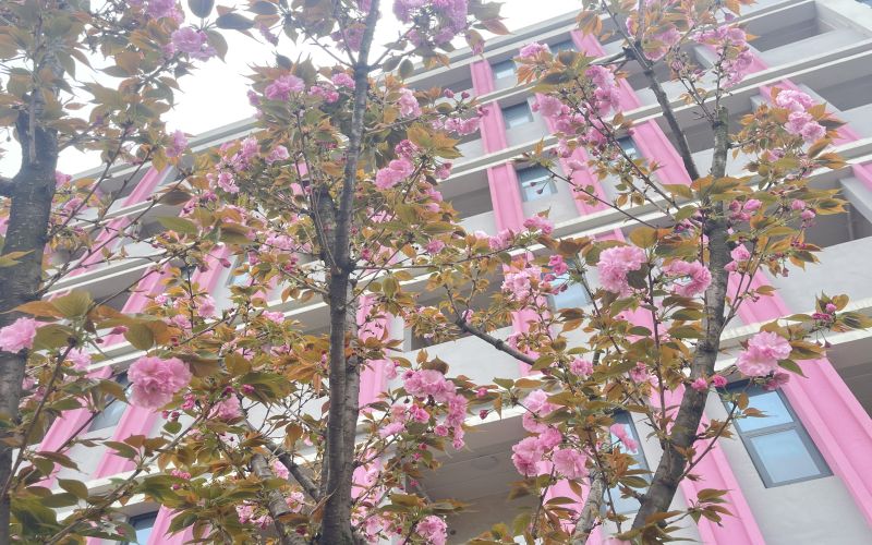 重庆数字产业职业技术学院