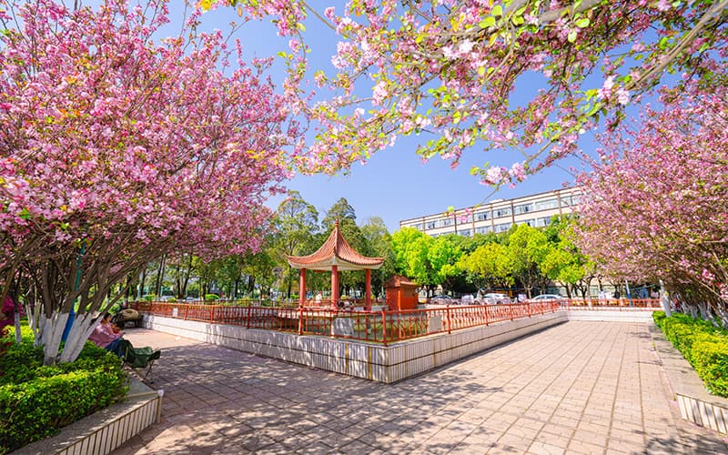 云南经济管理学院