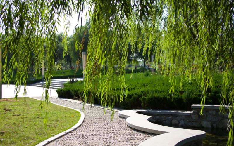 山东城市服务职业学院