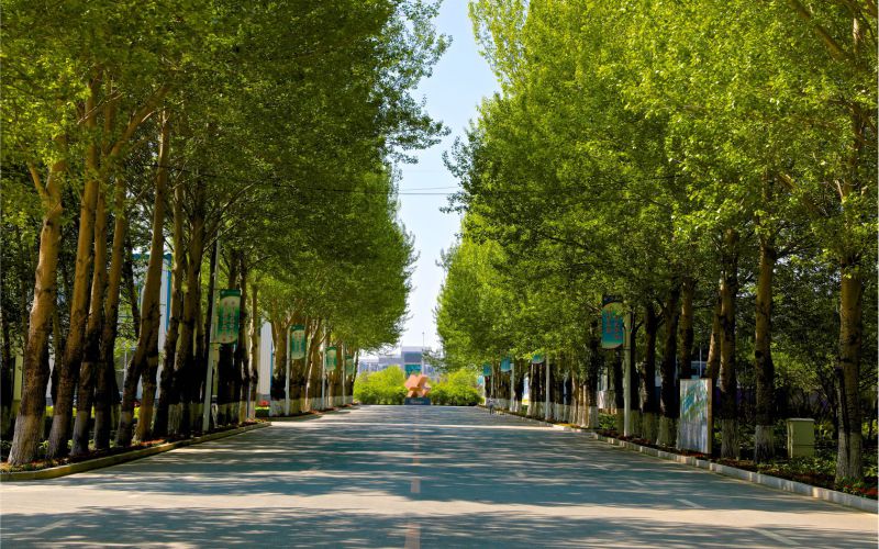 长春数字科技职业学院