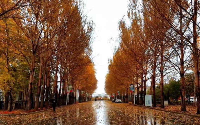 长春数字科技职业学院