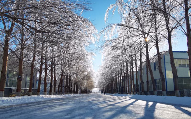 长春数字科技职业学院